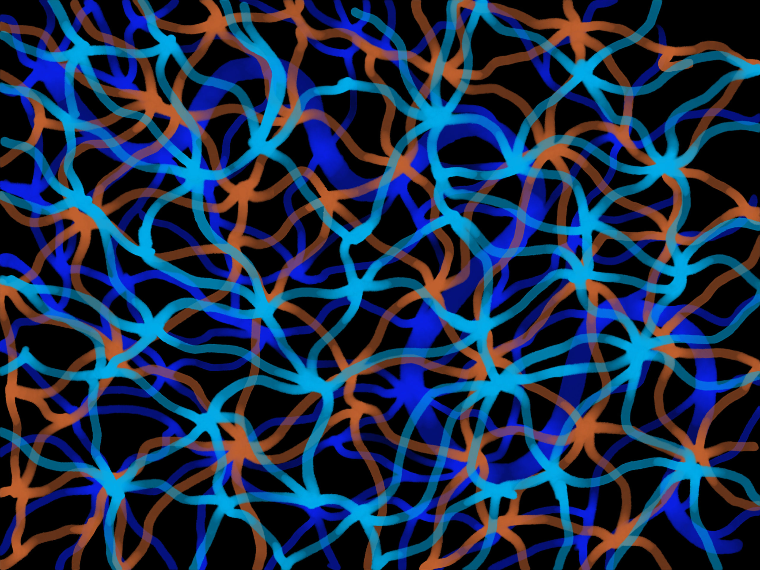 'Tangled Paths' shows blue, orange and black pathways tangled and intersecting in a digital piece created by Muruwori and Gumbaynnggirr Co-Design Lead Researcher Mr Phillip Orcher.