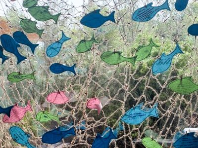 Fish attached to net in front of window