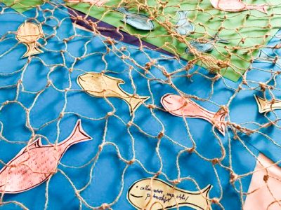 Fish on table under net